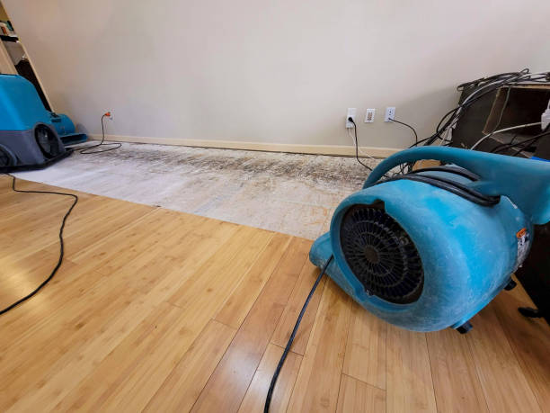Professional Burst Pipe Water Damage technician working in Gonzales, TX